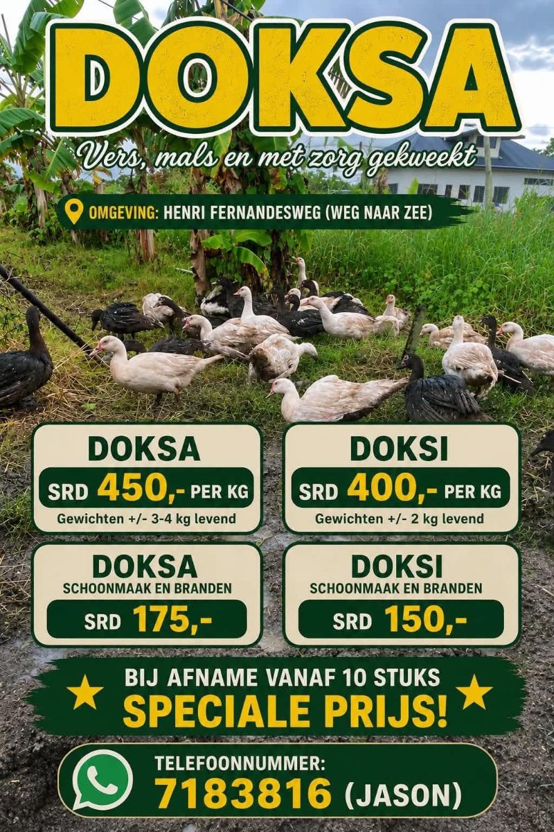 Doksa & Doksi – Te Koop