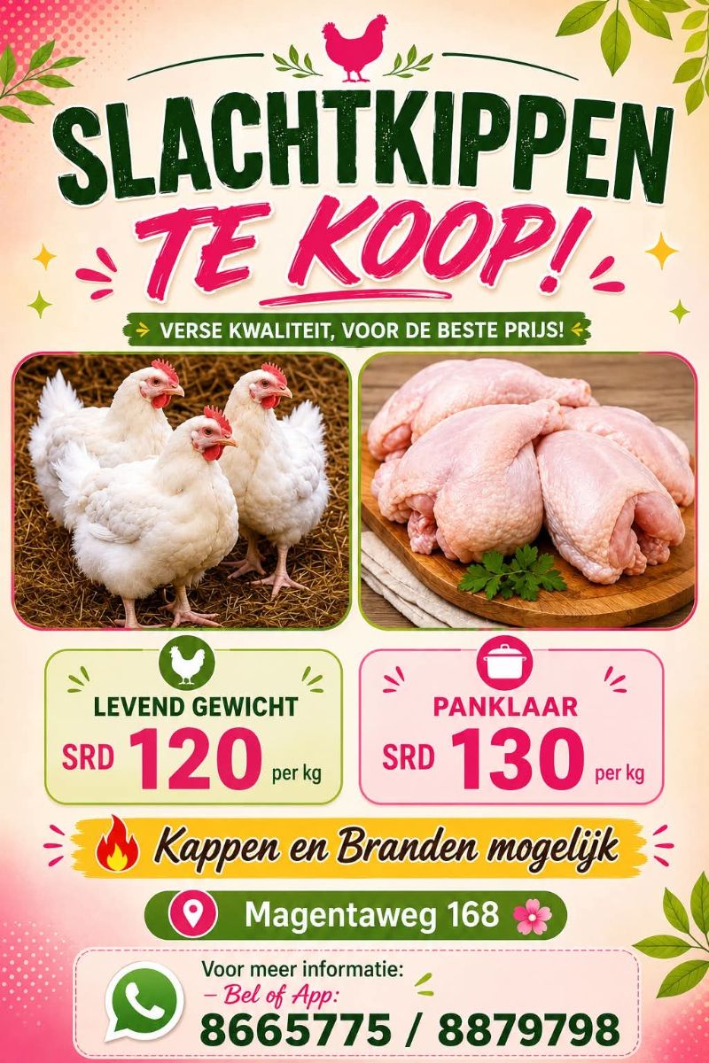 Slachtkippen – Te Koop