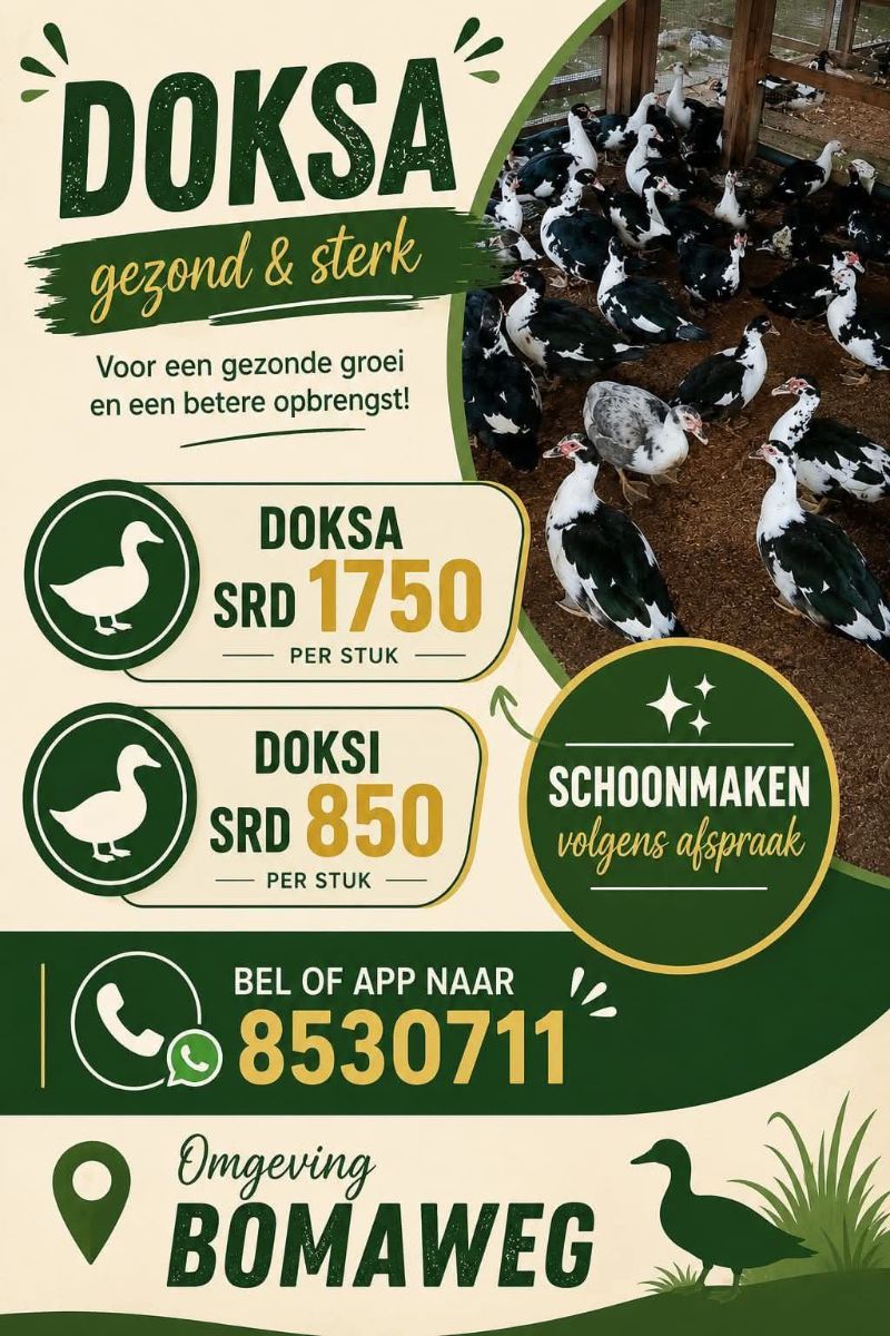 Doksa & Doksi – Te Koop