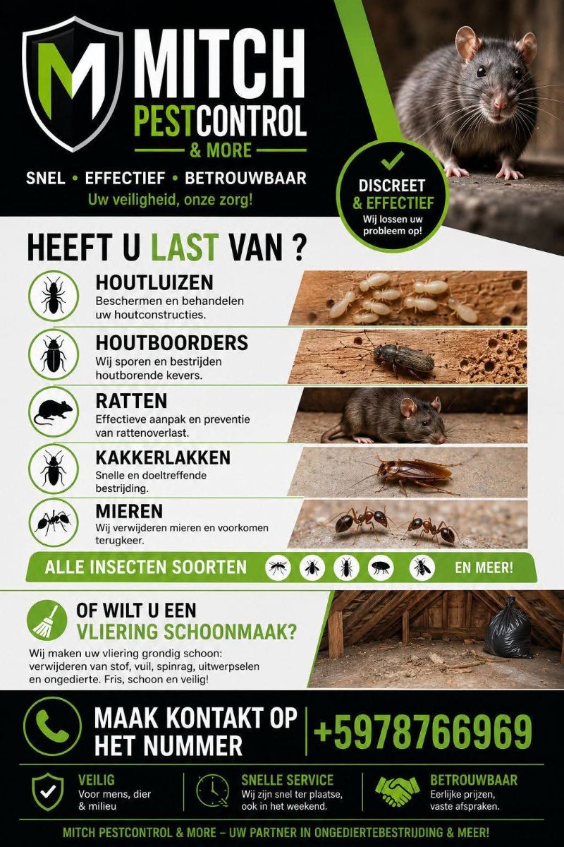 Mitch Pestcontrol & More – Ongediertebestrijding & Vliering Schoonmaak