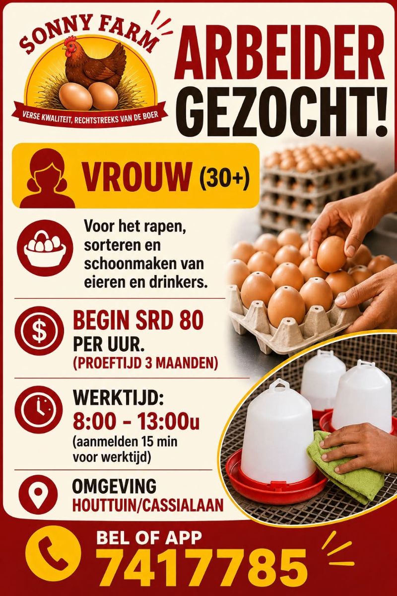 Arbeider Gezocht voor Eierenwerk – Sonny Farm