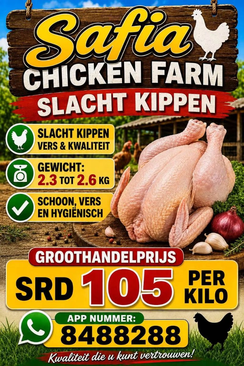 Verse Slachtkippen Te Koop – Safia Chicken Farm