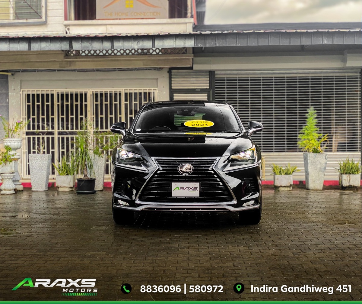 LEXUS NX300 2018