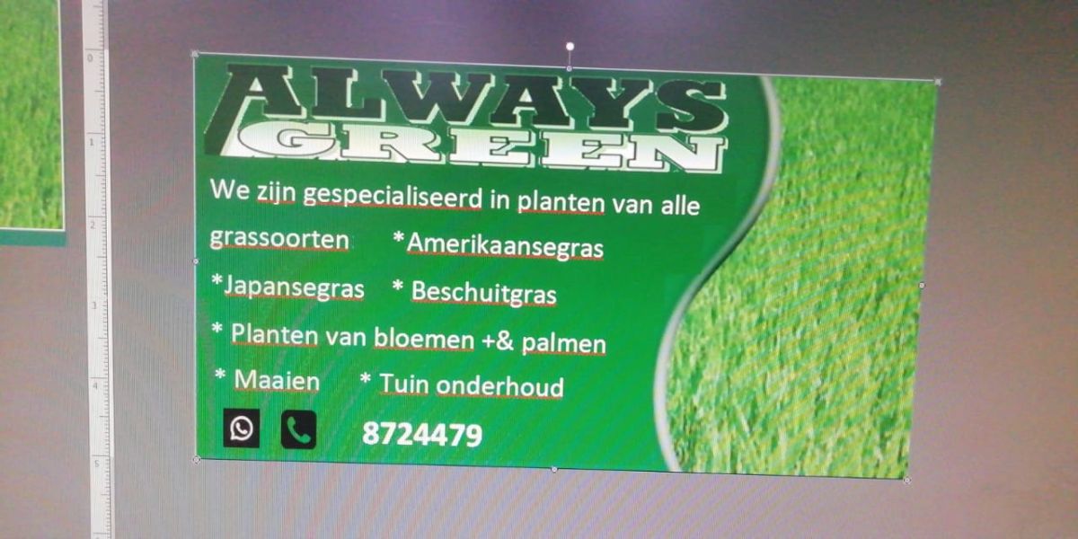Always Green 🌿🌿🌿